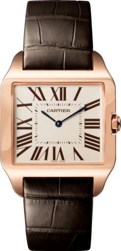 cartier cartier-santos-de-cartier 