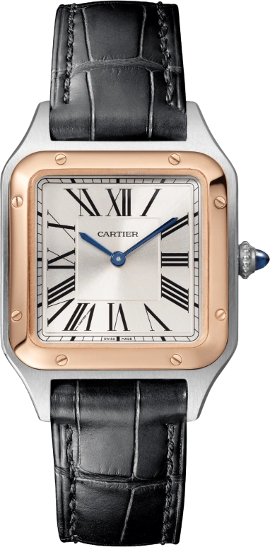 Cartier Santos de Cartier W2SA0012