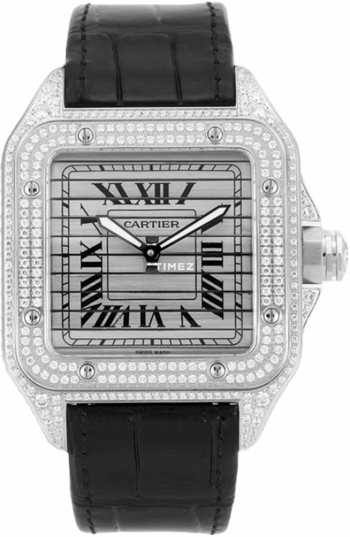 Cartier Santos de Cartier WM505014