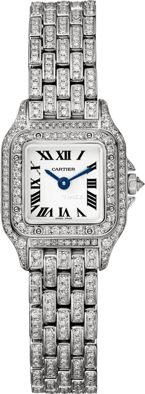 Cartier Panthère de Cartier HPI01641