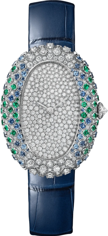 Cartier Baignoire WJBA0060