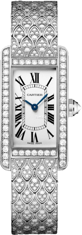 Cartier Tank HPI00620