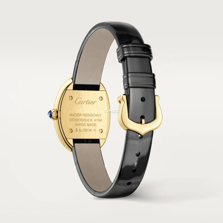 Cartier,Baignoire 31x23mm,31x23mm,Yellow Gold,Silver,Quartz,Sapphire,Crystal Glass,Oval,WGBA0022