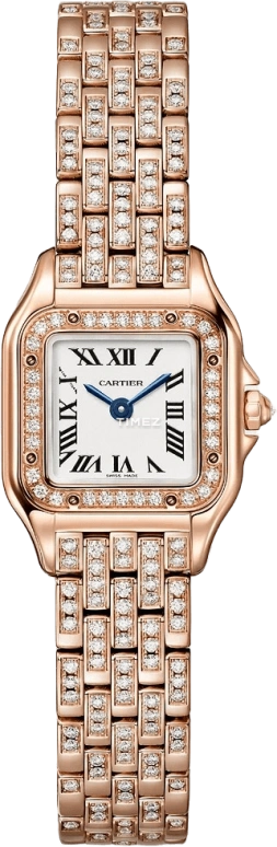 Cartier Panthère de Cartier WJPN0063