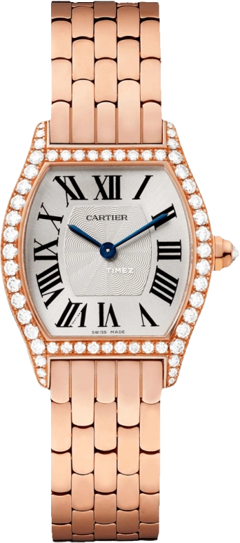 Cartier Tortue WA501010
