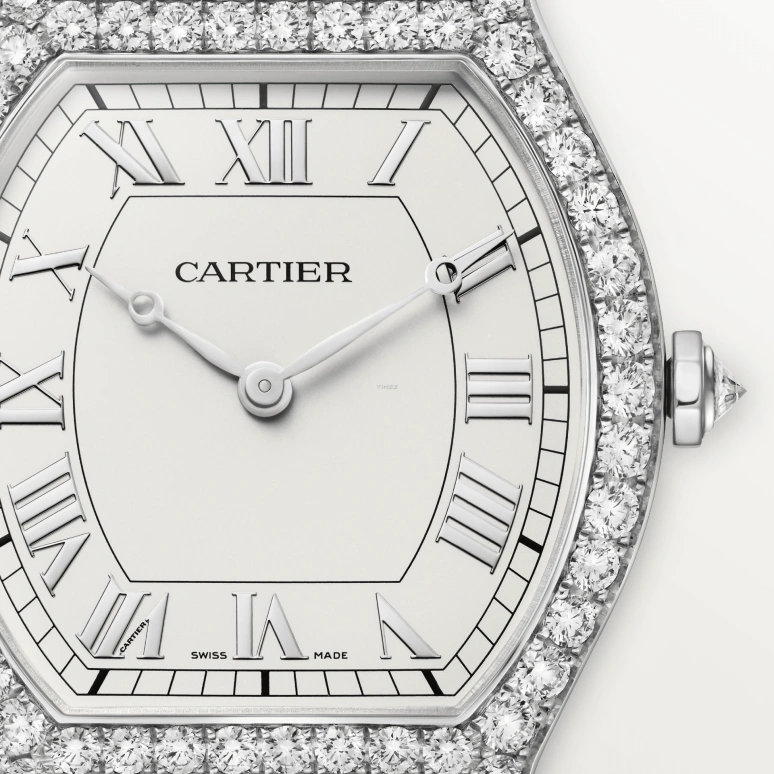 Cartier,Tortue 41.10x32.90mm,41.10x32.90mm,Platinum,Silver White,Handwound,36hours,In-house Caliber,WJTO0010