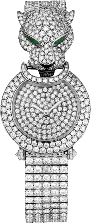 Cartier High Jewelry Watches HPI00768