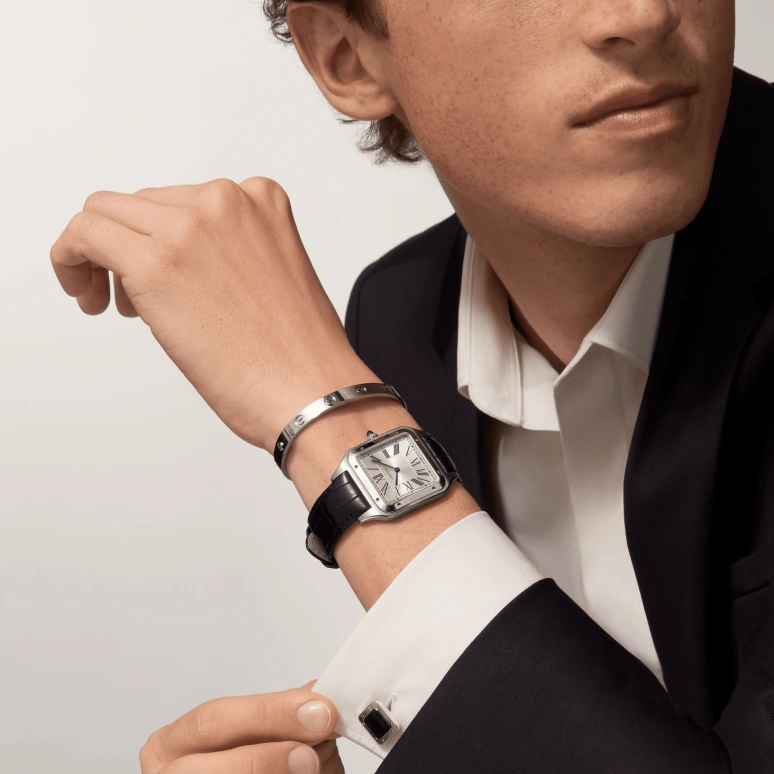 Cartier,Santos de Cartier 46.60x33.90mm,46.60x33.90mm,Stainless Steel,Silver,Handwound,36hours,In-house Caliber,WSSA0032