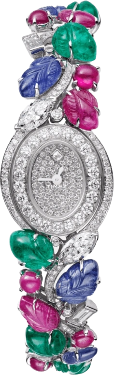 Cartier High Jewelry Watches HPI00955