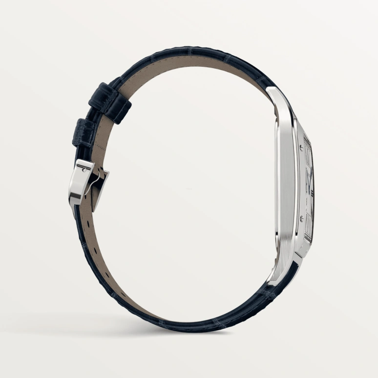 Cartier,Santos de Cartier 46.60x33.90mm,46.60x33.90mm,Stainless Steel,Silver,Handwound,36hours,In-house Caliber,WSSA0032
