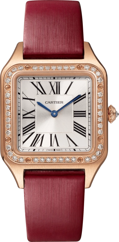 Cartier Santos de Cartier WJSA0019