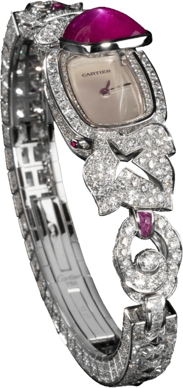 Cartier High Jewelry Watches HPI00237