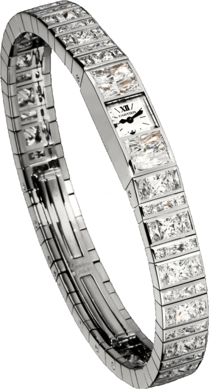 Cartier High Jewelry Watches HPI00202