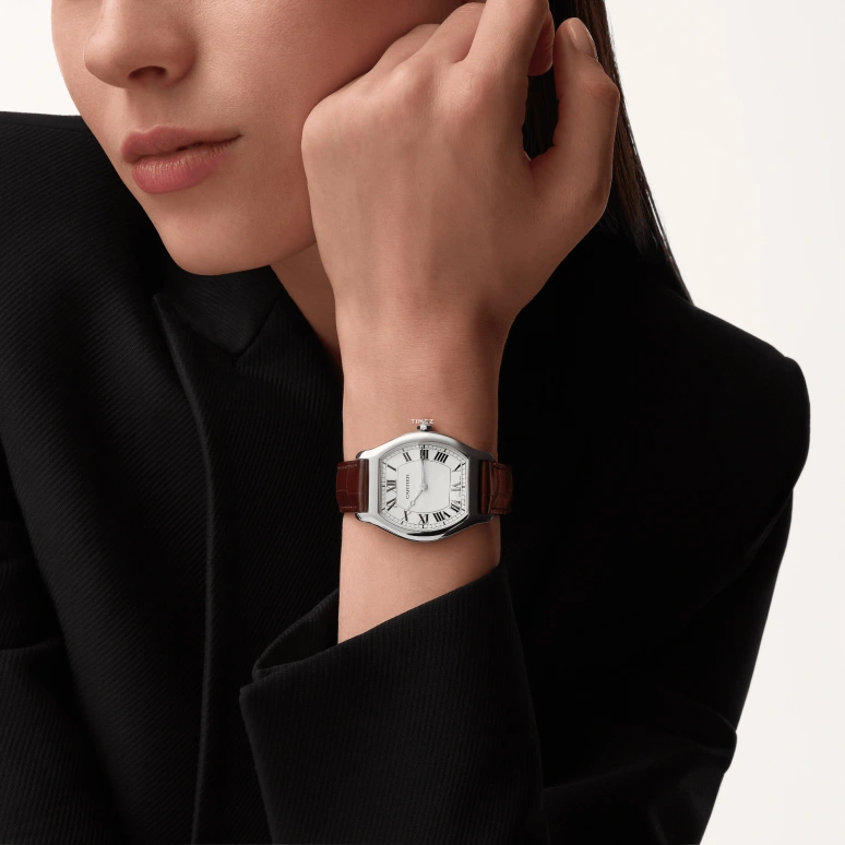 Cartier,Tortue 41.40x32.90mm,41.40x32.90mm,Platinum,Silver White,Handwound,36hours,In-house Caliber,WGTO0008