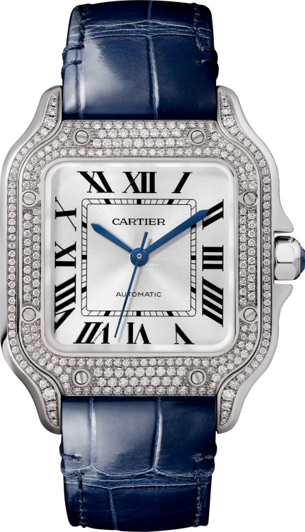 Cartier Santos de Cartier WJSA0006