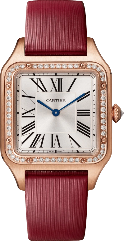 Cartier Santos de Cartier WJSA0018