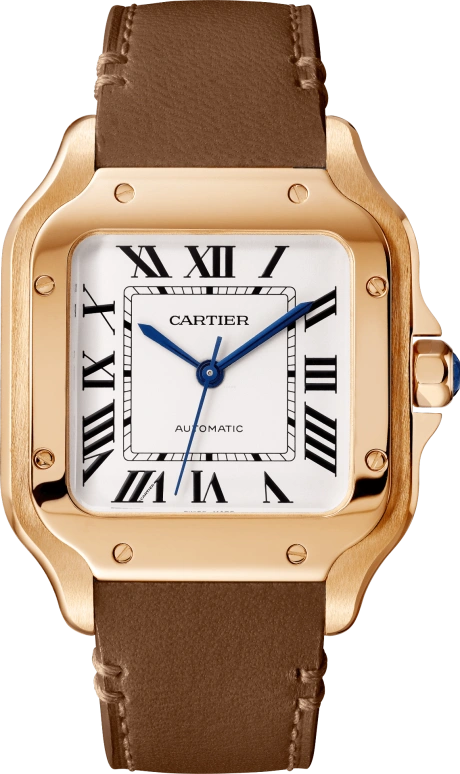 Cartier Santos de Cartier WGSA0038