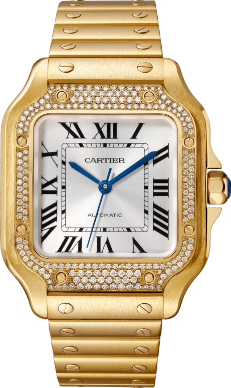 Cartier Santos de Cartier WJSA0010