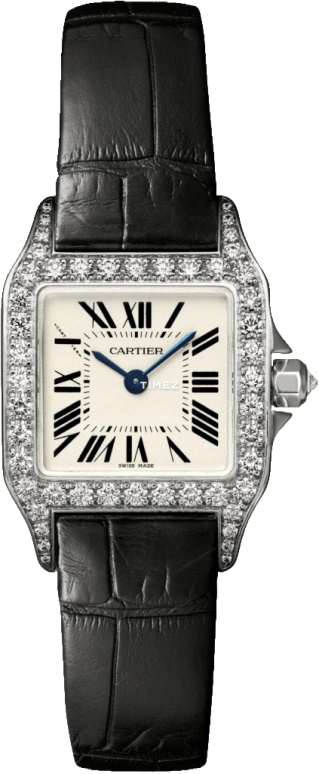 Cartier Santos de Cartier WF902007
