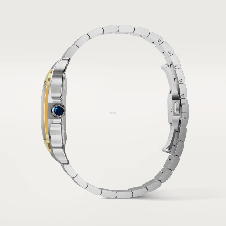 Cartier,Santos de Cartier 39.80mm,39.80mm,Stainless Steel,Smoky Coal,Gradient,Automatic,Day,Sapphire,Crystal Glass,W2SA0030