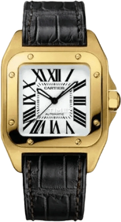 Cartier Santos de Cartier W20112Y1