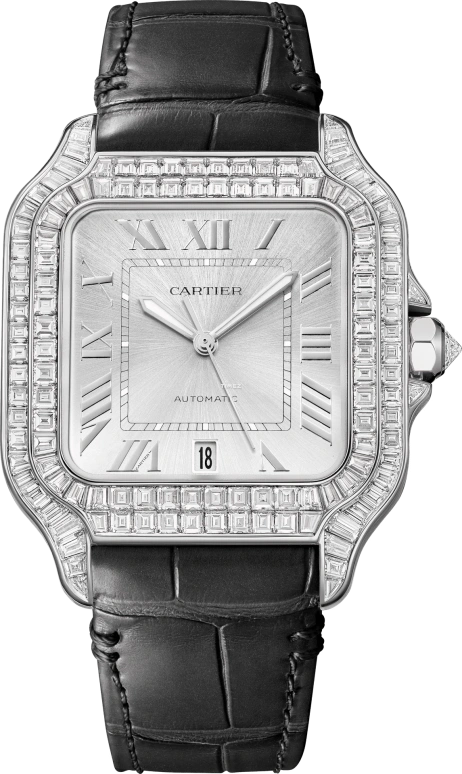Cartier Santos de Cartier HPI01687
