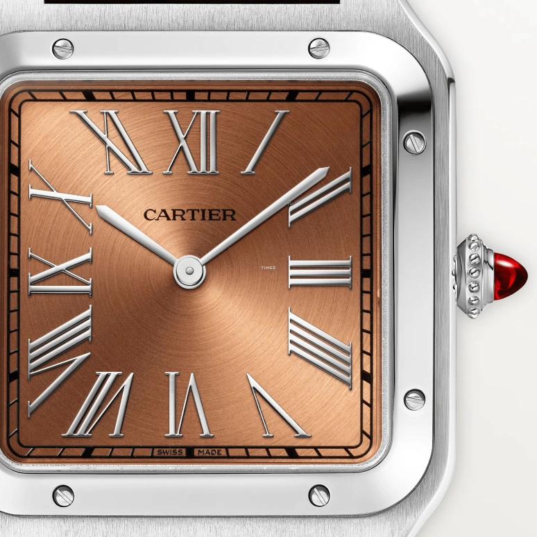 Cartier,Santos de Cartier 46.60x39.90mm,46.60x39.90mm,Platinum,Brown,Copper,Handwound,36hours,In-house Caliber,WGSA0113