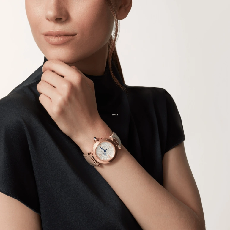 Cartier,Pasha de Cartier 35mm,35mm,Rose Gold,Silver,Automatic,42hours,In-house Caliber,WGPA0027