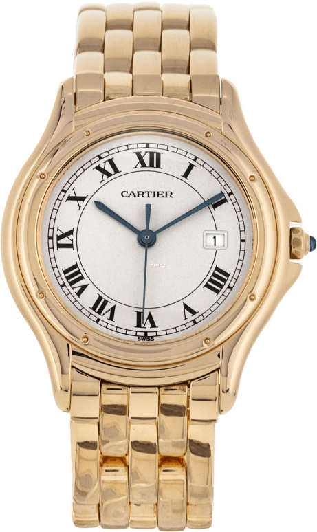 Cartier Other W25013B9