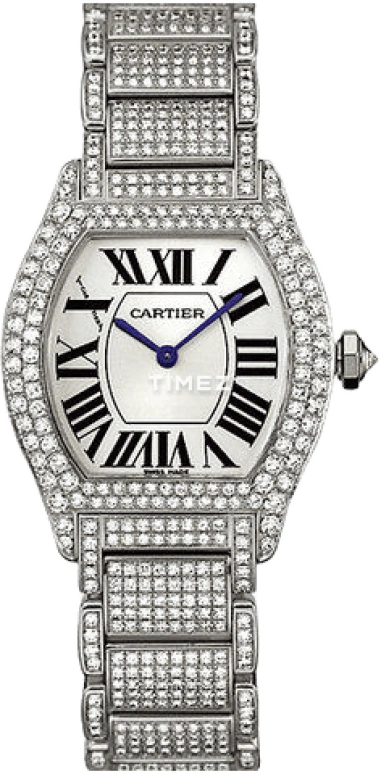 Cartier Tortue WA5049MC