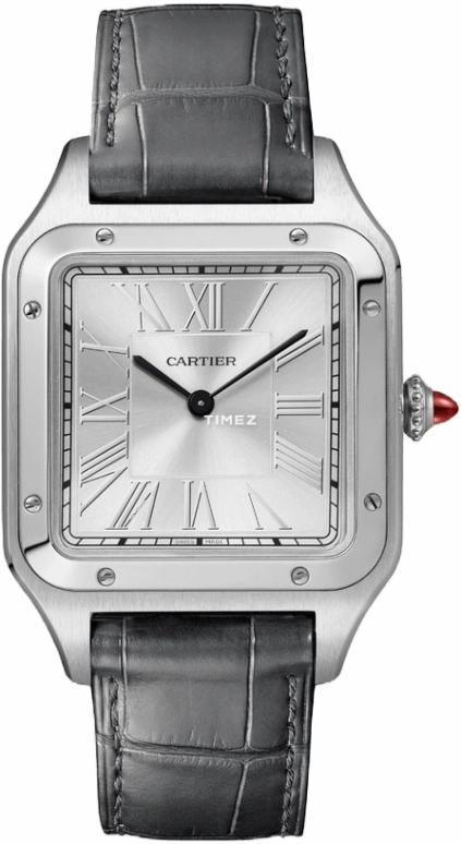 Cartier Santos de Cartier WGSA0034