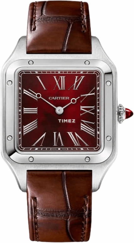 Cartier Santos de Cartier WGSA0102