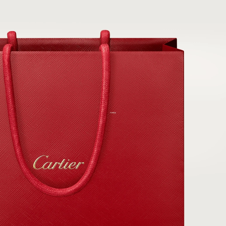 Cartier,Santos de Cartier 43.50x31.40mm,43.50x31.40mm,Platinum,Red,Handwound,Sapphire,Crystal Glass,Square,WGSA0102