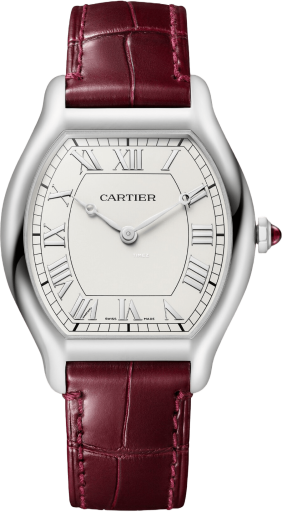 cartier cartier-tortue 