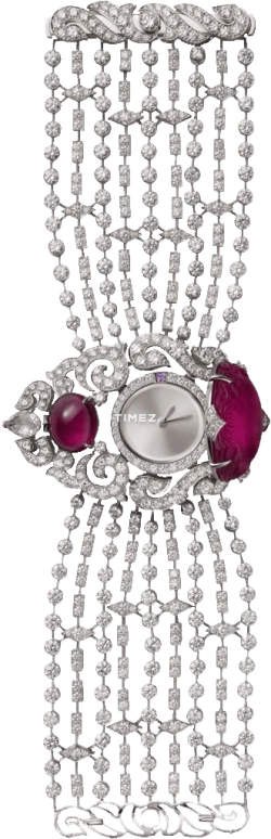 Cartier High Jewelry Watches HPI00460