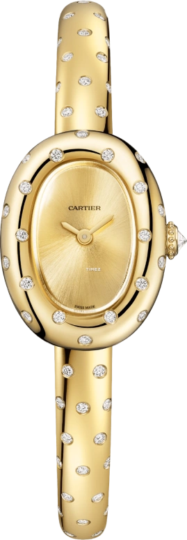 Cartier Baignoire WJBA0063