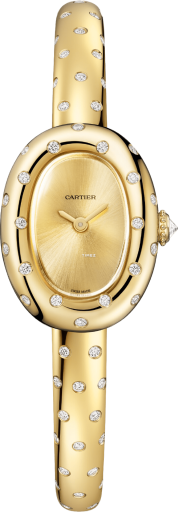Cartier Baignoire WJBA0063
