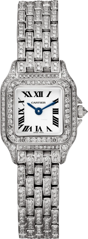 Cartier Panthère de Cartier HPI01719