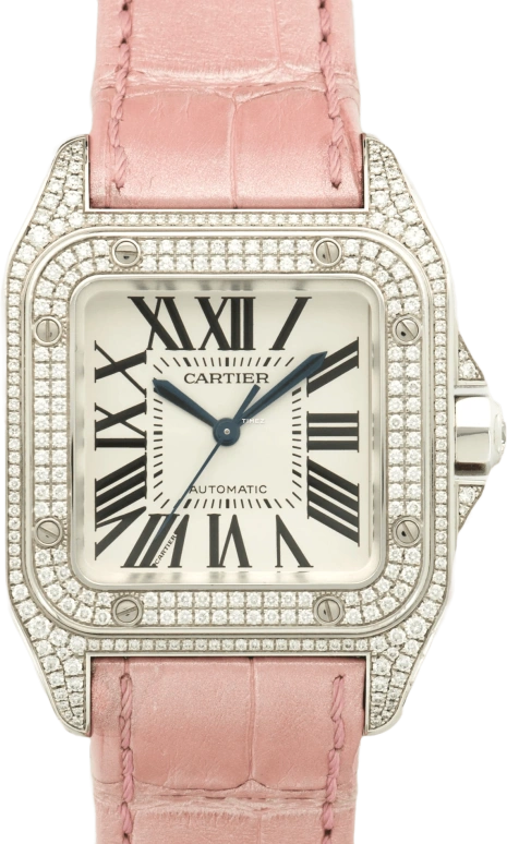 Cartier Santos de Cartier WM501751