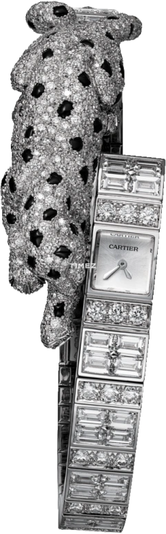 Cartier High Jewelry Watches HPI01001