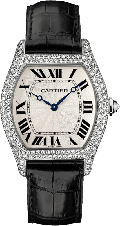 Cartier Tortue WA503851