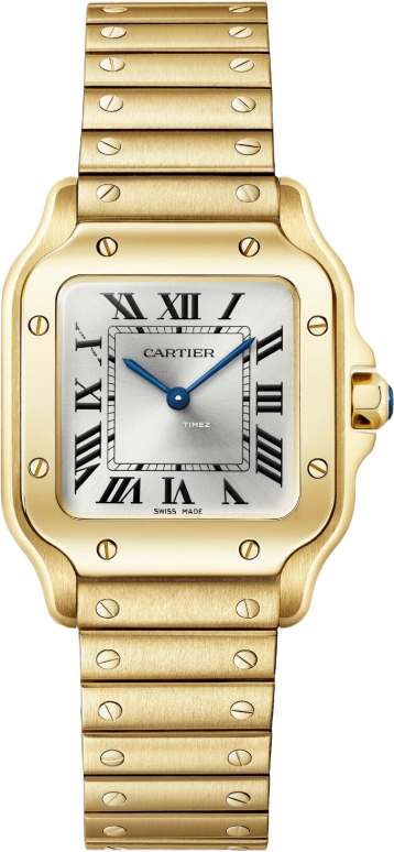Cartier Santos de Cartier WGSA0107
