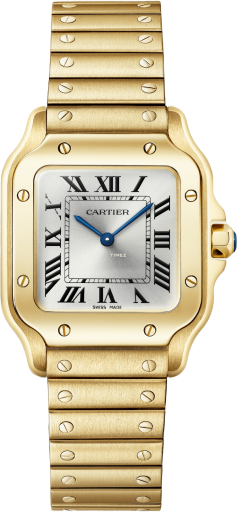 Cartier Santos de Cartier WGSA0107