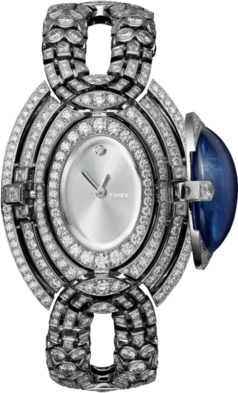 Cartier High Jewelry Watches HPI00948
