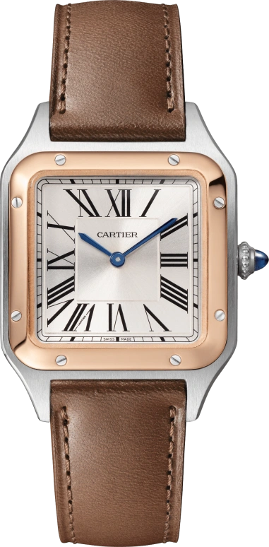 Cartier Santos de Cartier W2SA0020