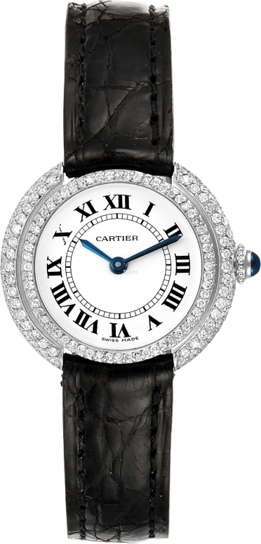 Cartier Other W15071G8
