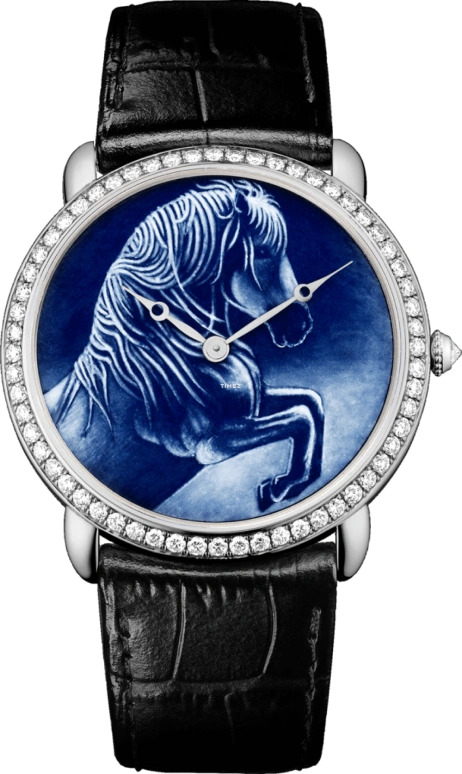 Cartier High Jewelry Watches HPI00612