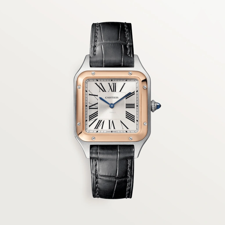 Cartier,Santos de Cartier 38x27.50mm,38x27.50mm,Stainless Steel,Silver,Quartz,Sapphire,Crystal Glass,Square,W2SA0038