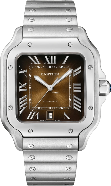 Cartier Santos de Cartier WSSA0065