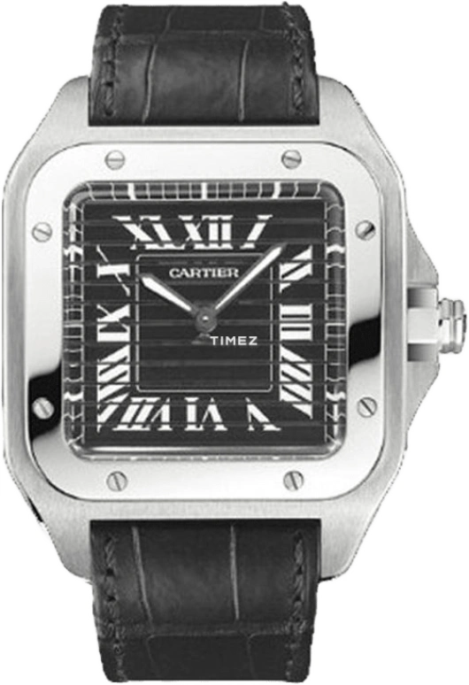 Cartier Santos de Cartier W2020020